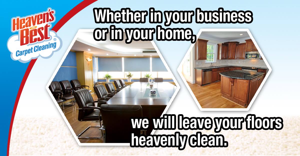 Birmingham's Most Trusted Carpet Cleaner!